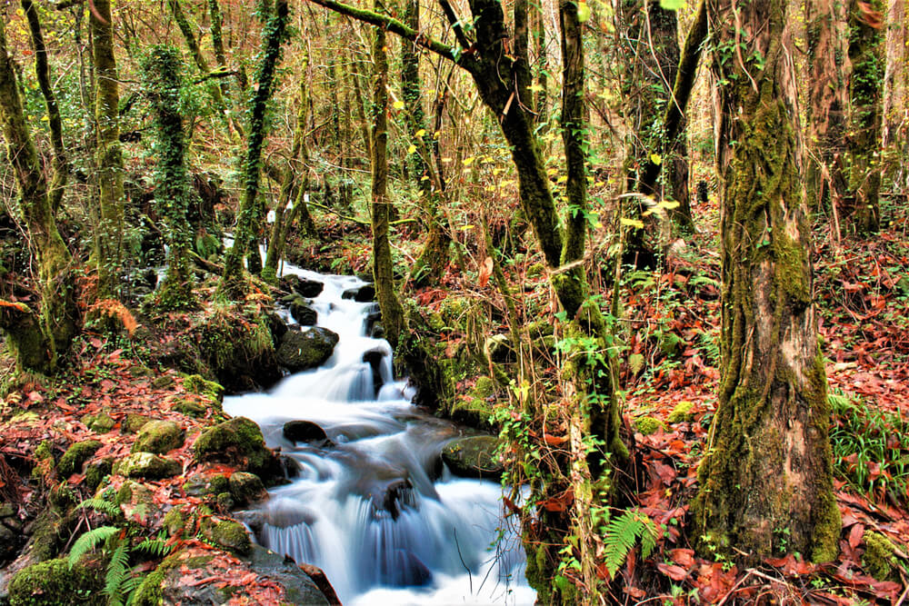 Fragas do Eume, uno de los parques naturales de Galicia