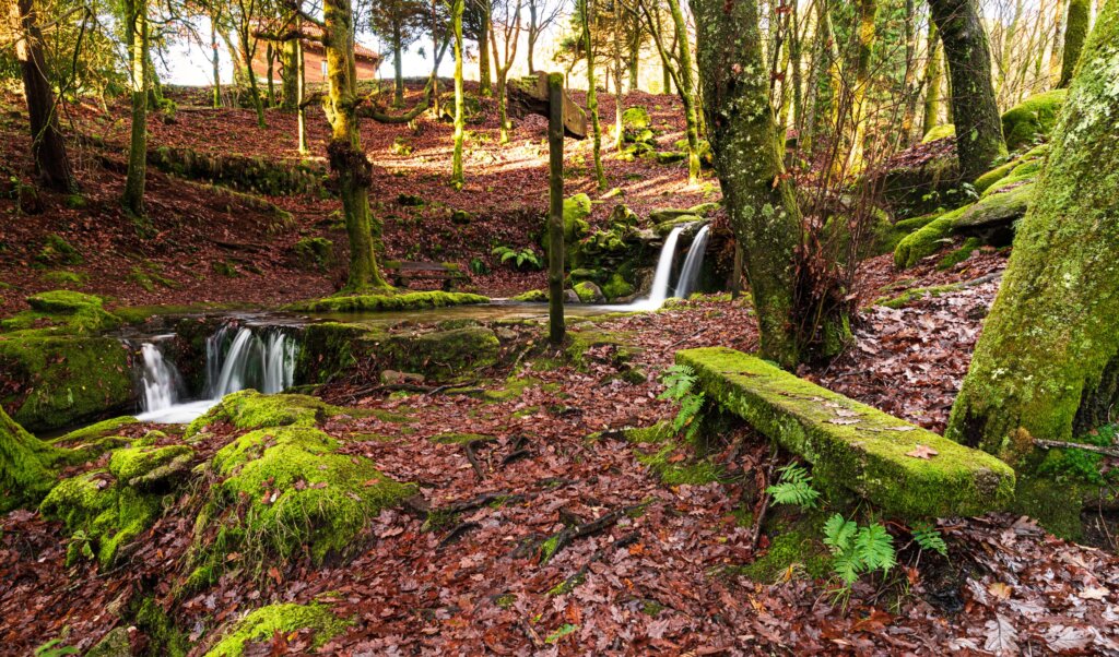 Monte Aloia, el parque natural más antiguo de Galicia
