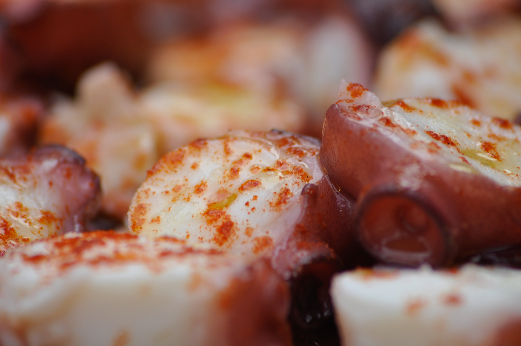 Pulpo, el rey de la gastronomía de la provincia de Lugo