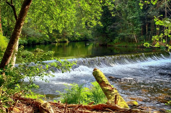 paseo-dos-namorados-sargadelos Paseo dos Namorados en Sargadelos