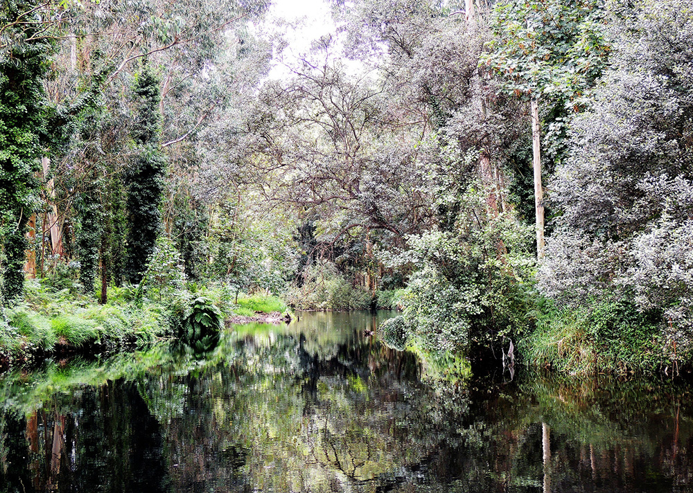 Río Landro en una excursión a Viveiro