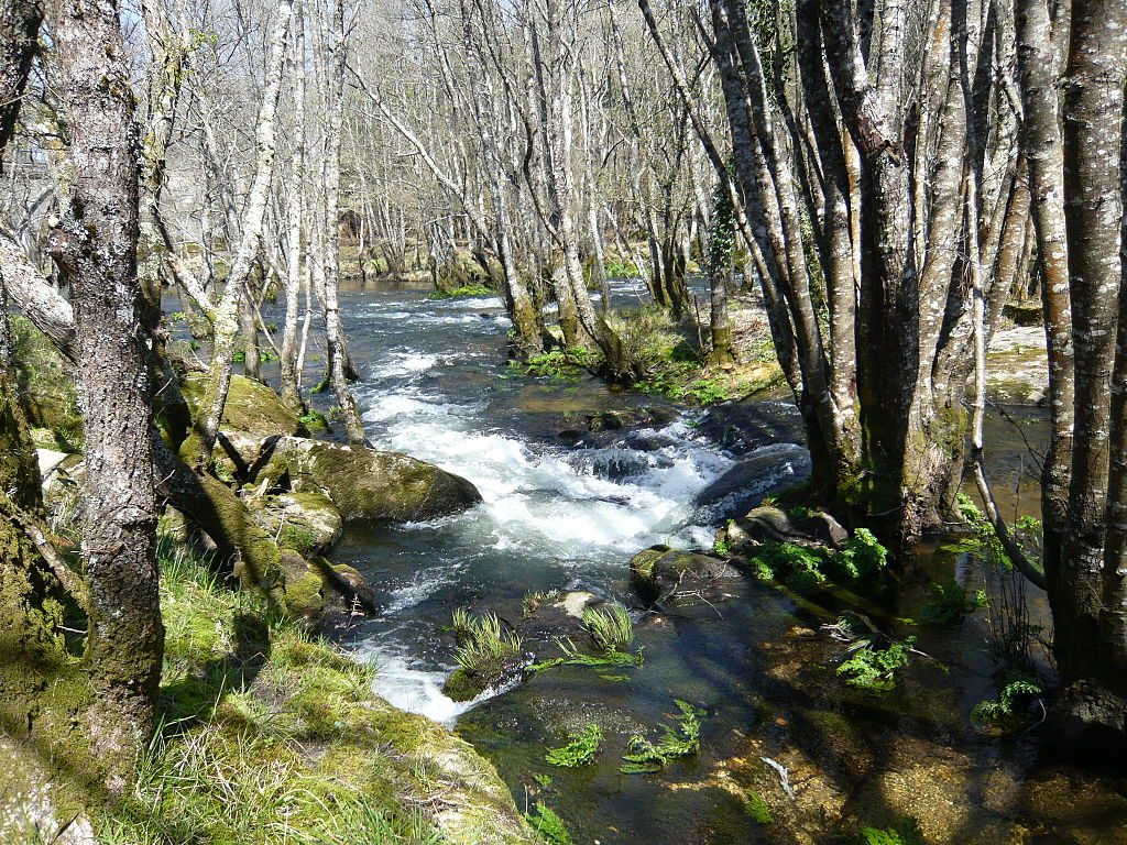 Río Parga en Terra Chá
