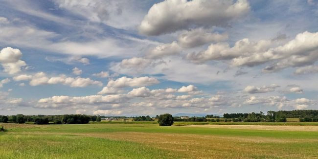 terra-cha Terra Chá