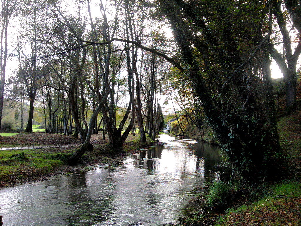 Formiñá en Terras do Miño