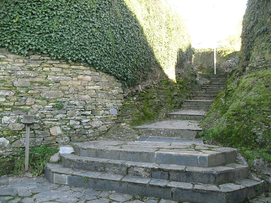 Muralla de Castro de Rei