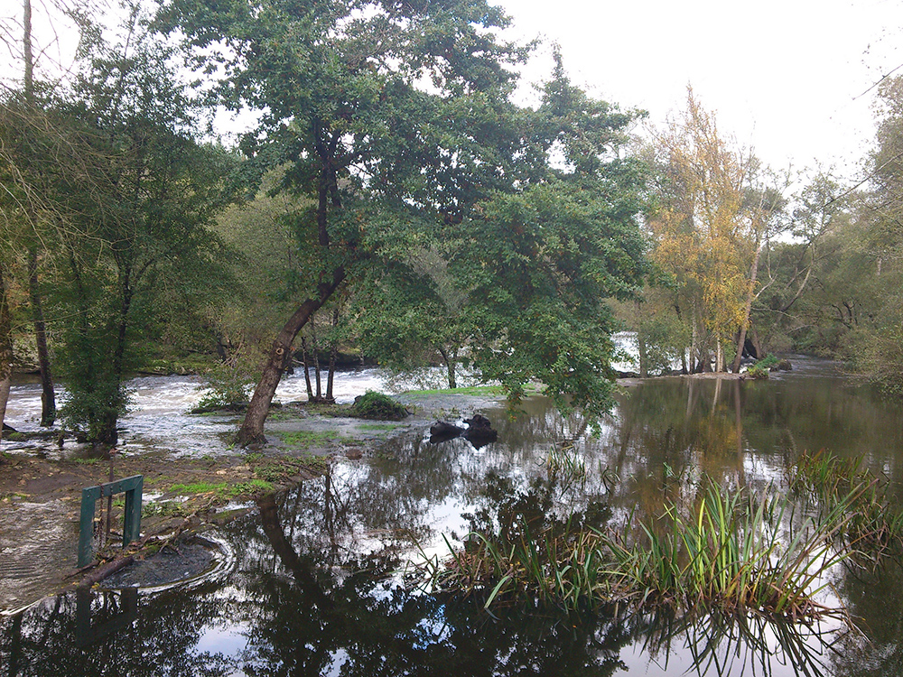 Bosque de A Fervenza