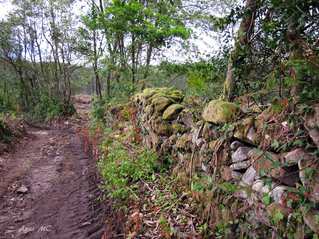 Sendero hacia el Pozo da Ferida