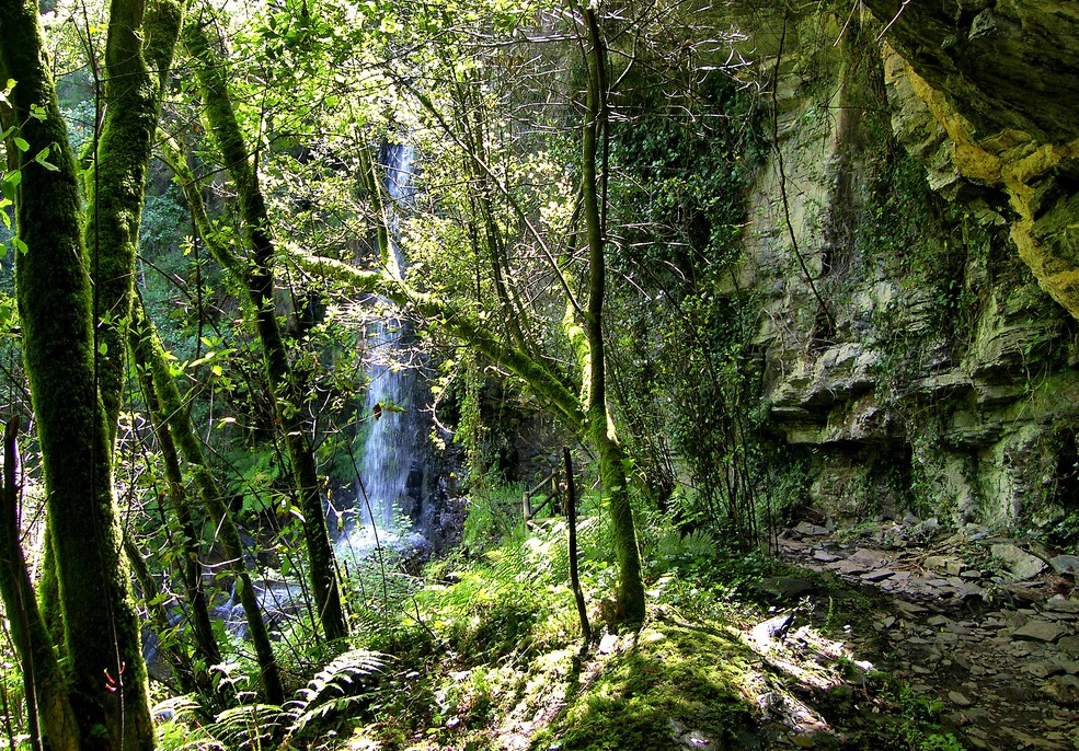 Cascada de Santo Estevo do Ermo