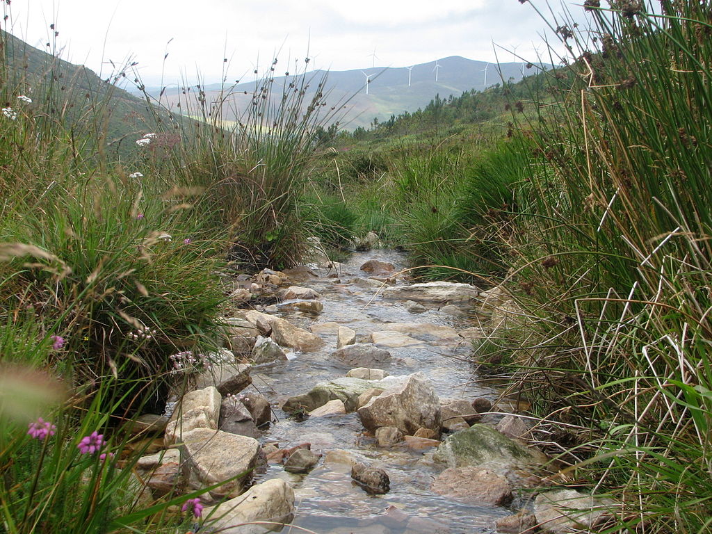 Nacimiento del río Landro en la serra do Xistral