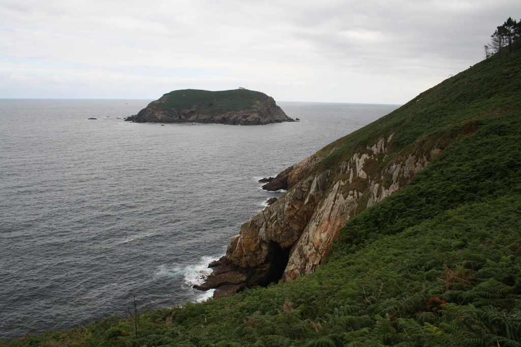 Isla Coelleira