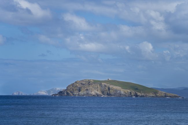 Isla Coelleira