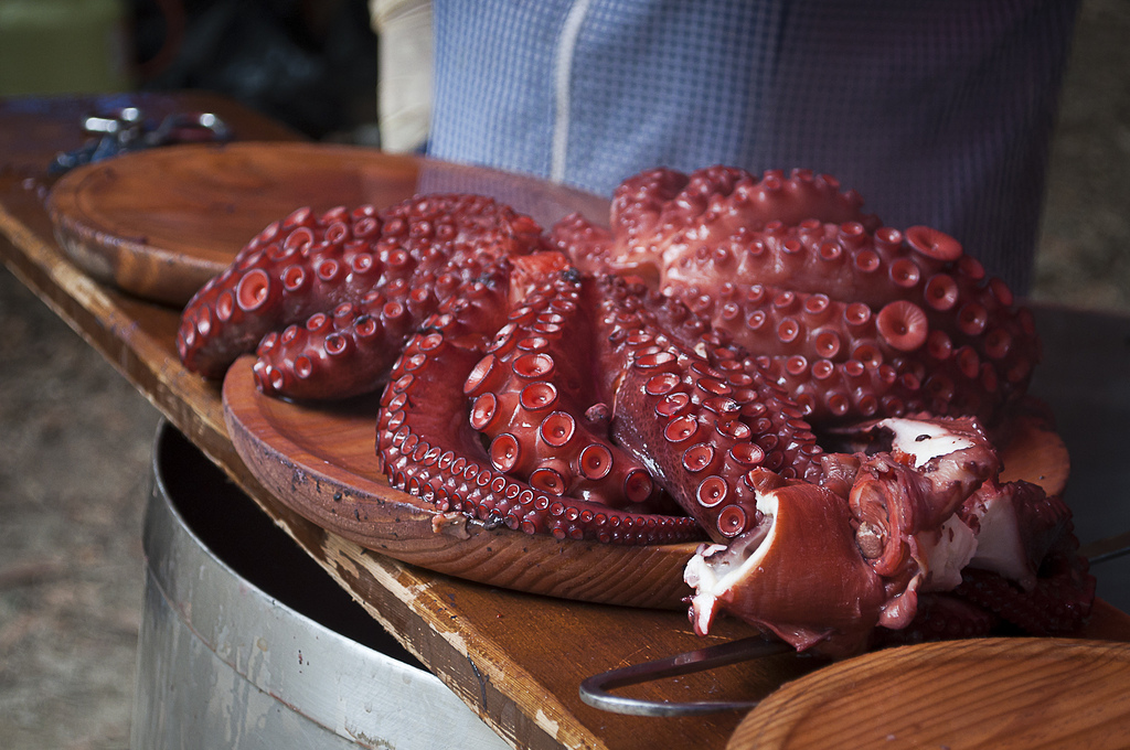 Pulpo a feira