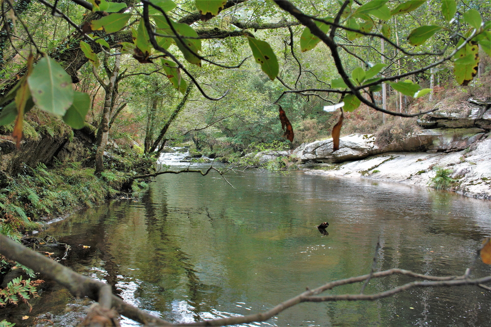 Río Landro
