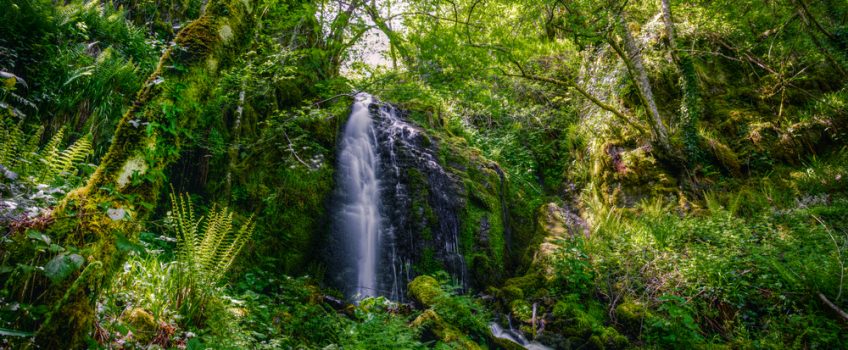 Espacios naturales de Lugo: Sierra de los Ancares