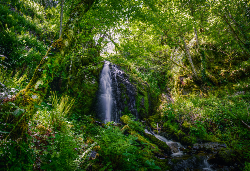 Bosques más bonitos de Lugo, sierra de los Ancares