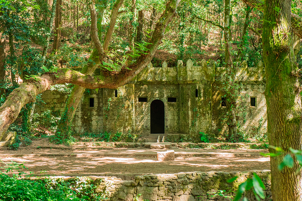 Bosque encantado de Aldán