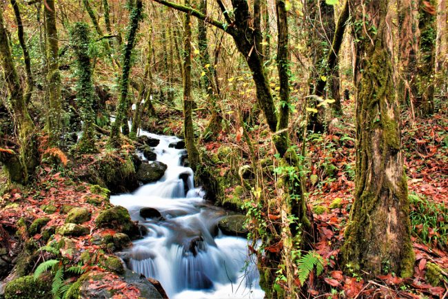fragas-do-eume Fragas do Eume, uno de los parques naturales de Galicia