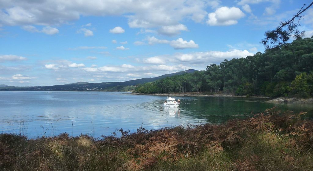 Isla Cortegada