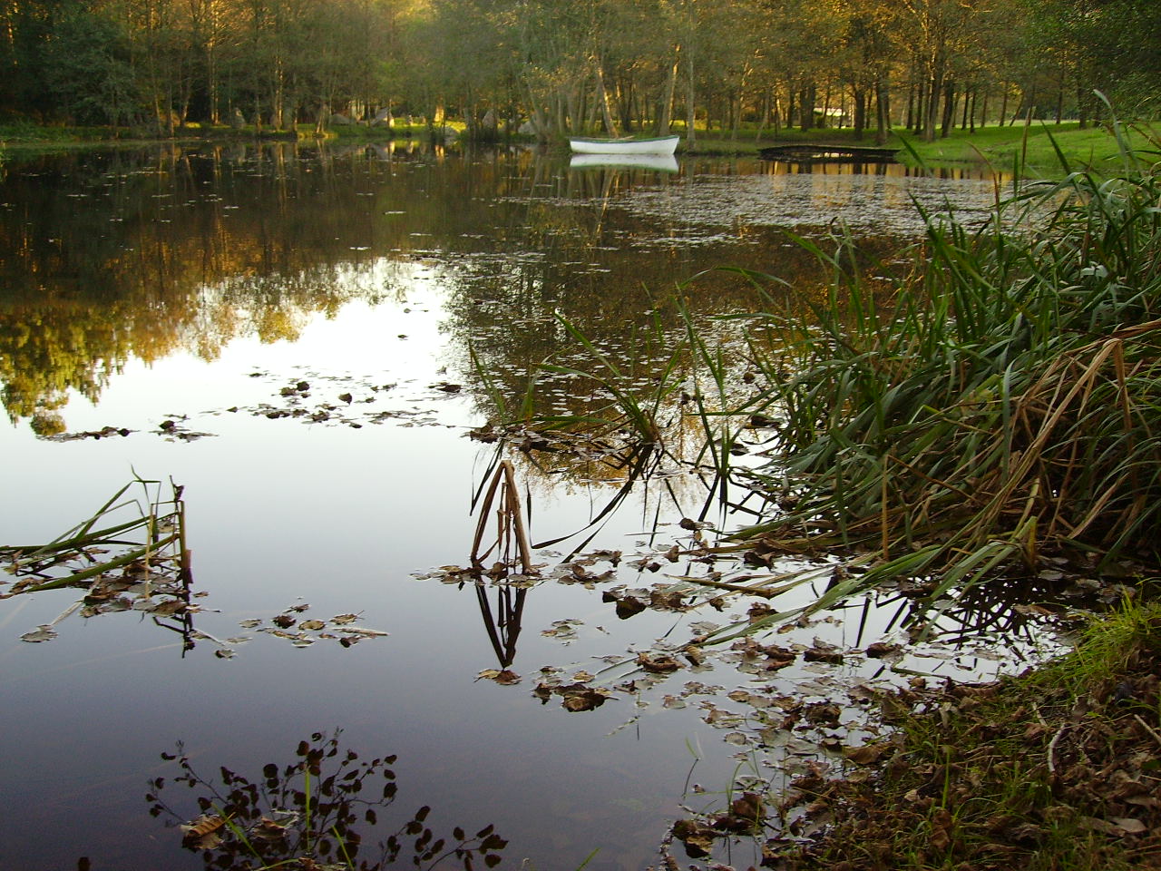 Lago en Finca Galea