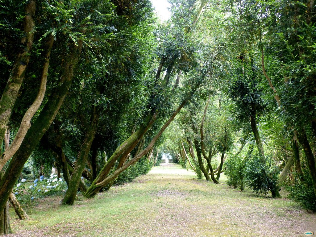 Paseo dos Buxos