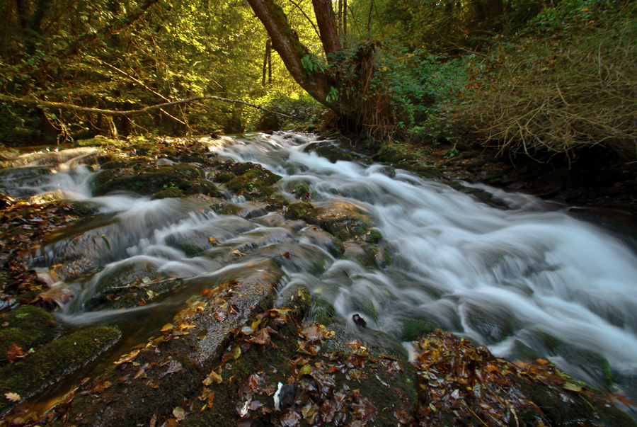 Río Cruzul en Becerreá