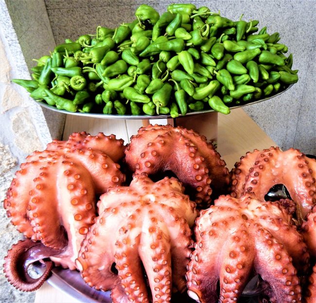 pimientos-pulpo-gallego Pimientos y pulpo, productos autóctonos de Galicia
