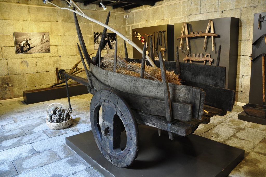 Interior del museo de San Paio de Narla
