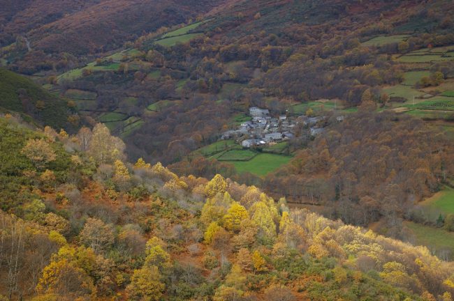 comarca-quiroga Paisaje de la comarca de Quiroga